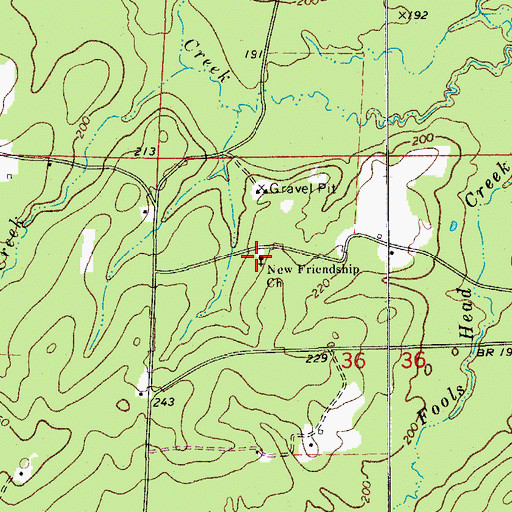 Topographic Map of New Friendship Church, AR