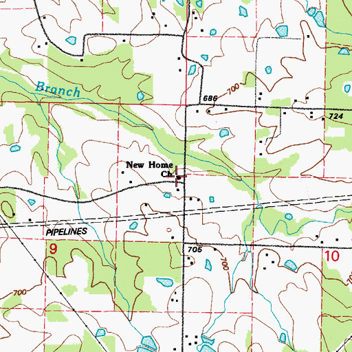 Topographic Map of New Home Church, AR