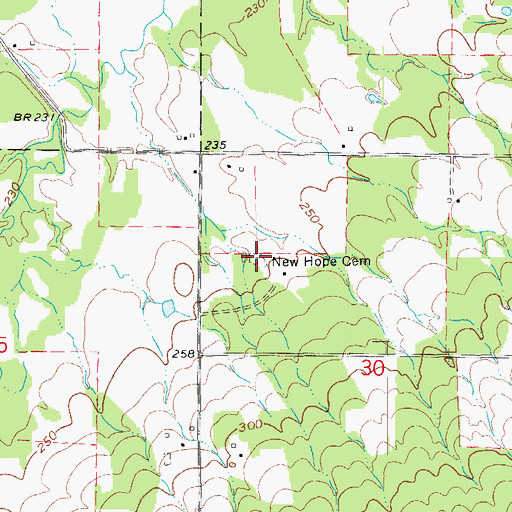 Topographic Map of New Hope Cemetery, AR