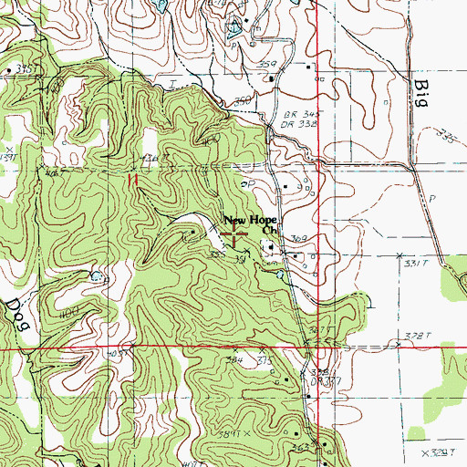 Topographic Map of New Hope Cemetery, AR