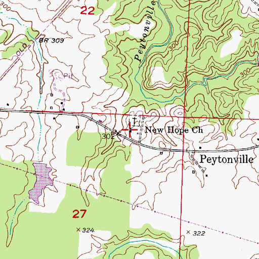Topographic Map of New Hope Church, AR