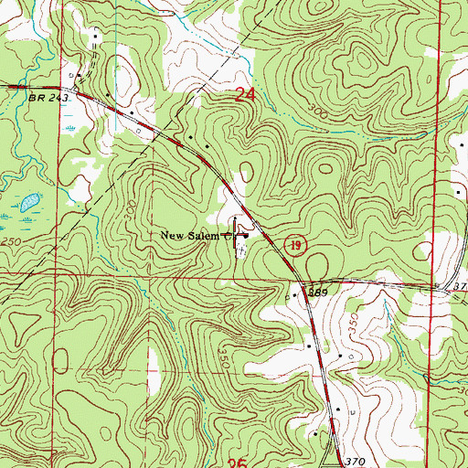 Topographic Map of New Salem Church, AR