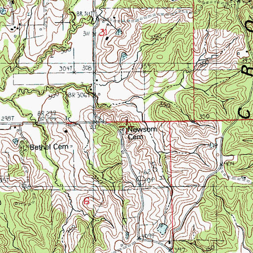 Topographic Map of Newsom Cemetery, AR
