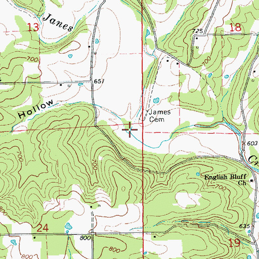 Topographic Map of Newsom Hollow, AR