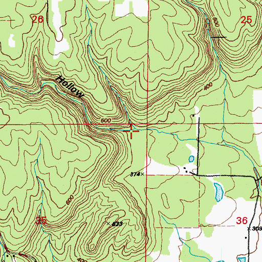 Topographic Map of Newton Hollow, AR
