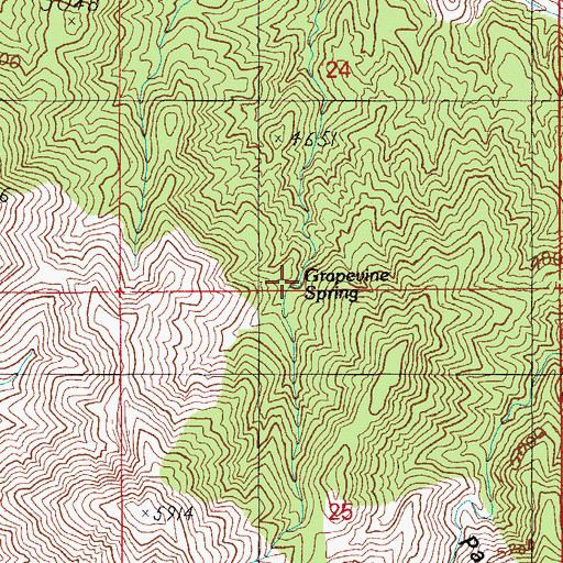 Topographic Map of Grapevine Spring, AZ