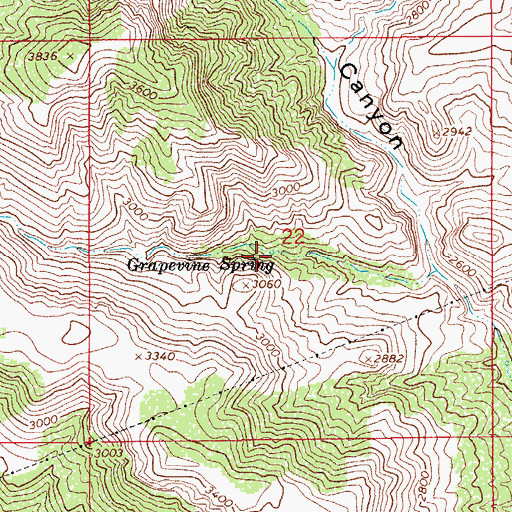 Topographic Map of Grapevine Spring, AZ