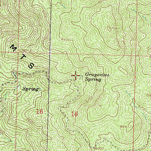 Topographic Map of Grapevine Spring, AZ