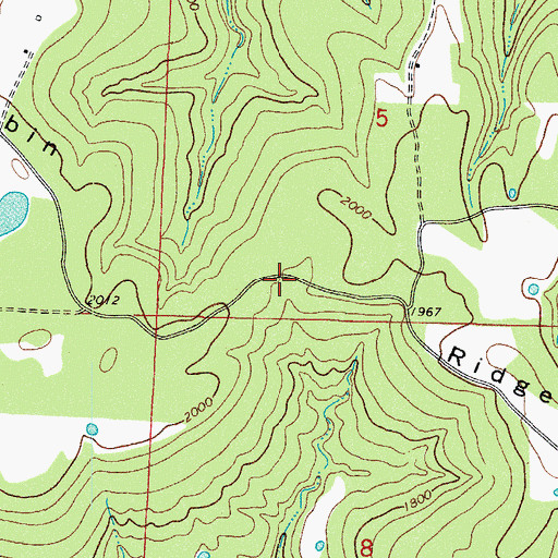 Topographic Map of Nubbin Ridge, AR