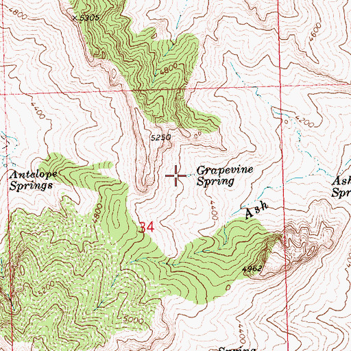 Topographic Map of Grapevine Spring, AZ