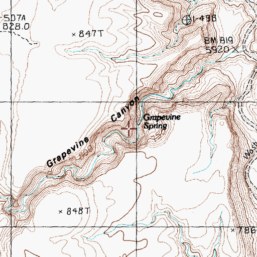 Topographic Map of Grapevine Spring, AZ