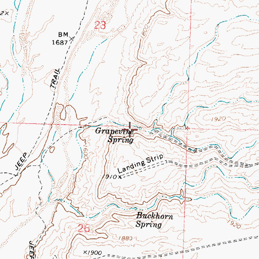 Topographic Map of Grapevine Spring, AZ