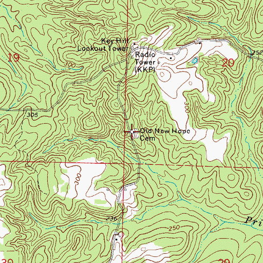 Topographic Map of Old New Hope Cemetery, AR