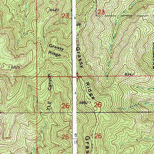 Topographic Map of Grassy Ridge, AZ