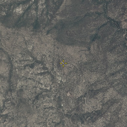 Aerial/Satellite Image of Grassy Ridge Spring, AZ