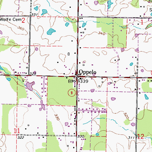 Topographic Map of Oppelo, AR