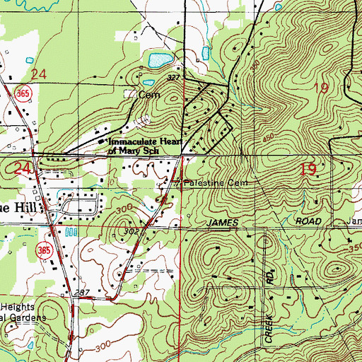 Topographic Map of Palestine Cemetery, AR