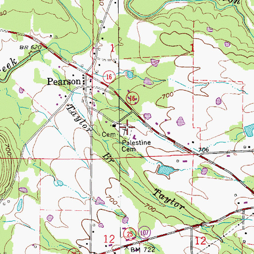 Topographic Map of Palestine Cemetery, AR