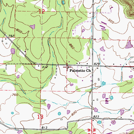Topographic Map of Palmetto Church, AR