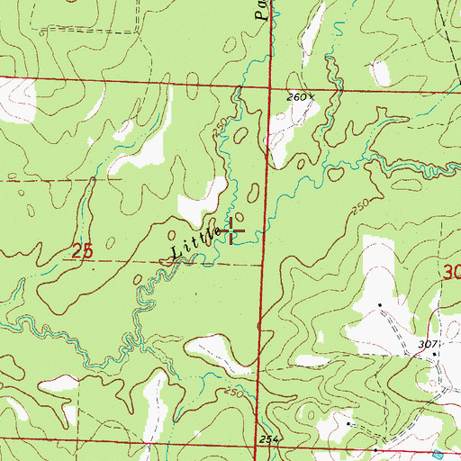 Topographic Map of Panther Branch, AR