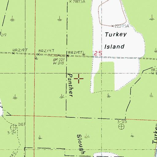 Topographic Map of Panther Slough, AR