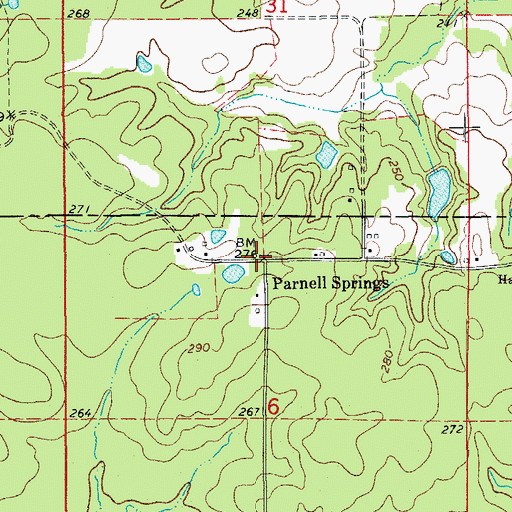 Topographic Map of Parnell Springs, AR