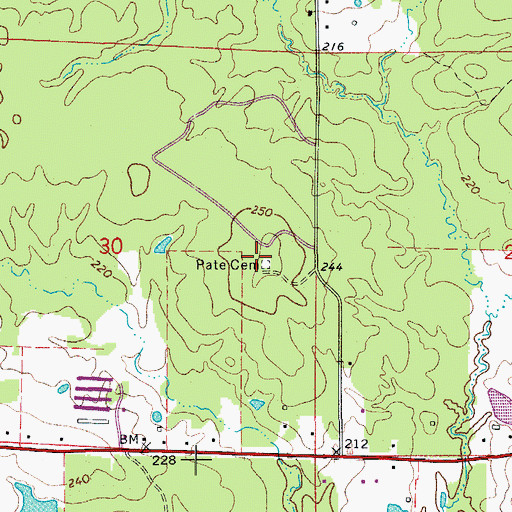Topographic Map of Pate Cemetery, AR
