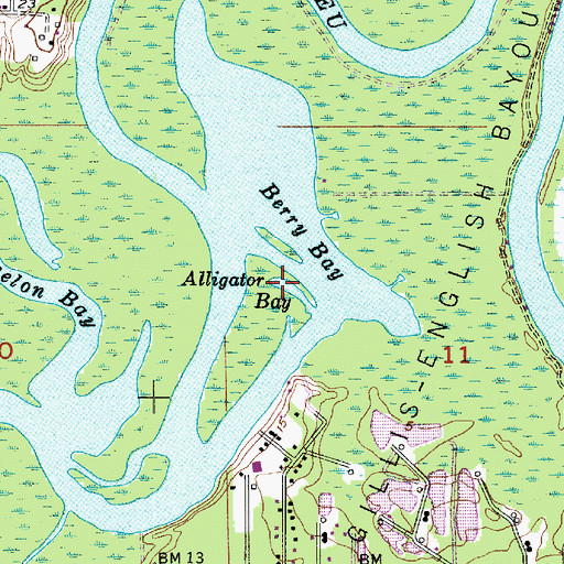 Topographic Map of Alligator Bay, LA
