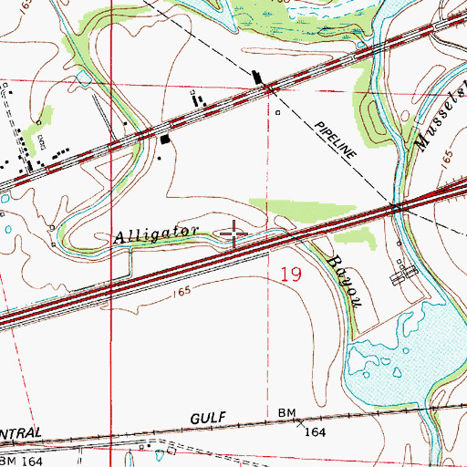 Topographic Map of Alligator Bayou, LA