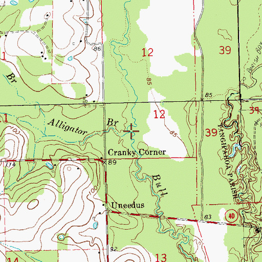 Topographic Map of Alligator Branch, LA