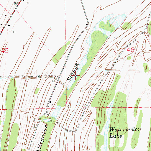 Topographic Map of Alligator Slough, LA