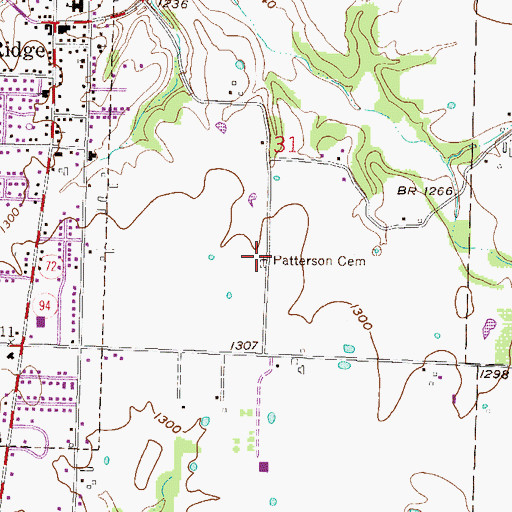Topographic Map of Patterson Cemetery, AR