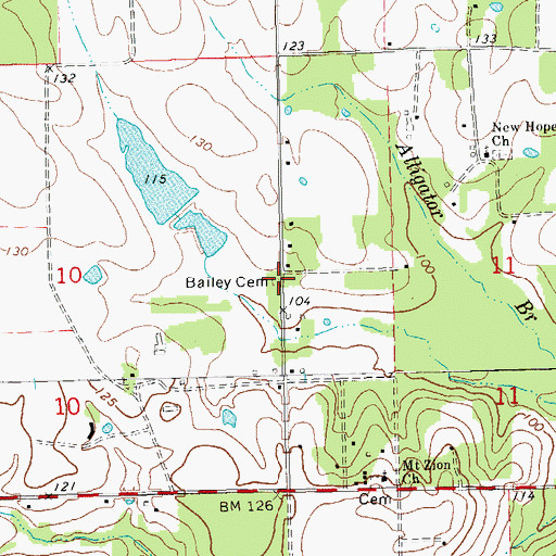 Topographic Map of Bailey Cemetery, LA
