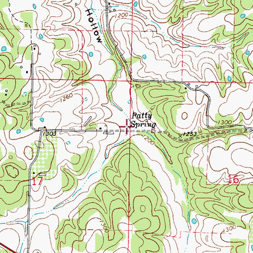 Topographic Map of Patty Spring, AR