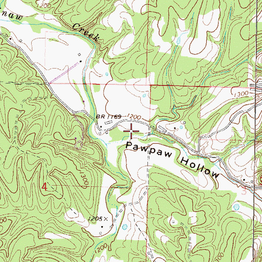 Topographic Map of Pawpaw Hollow, AR
