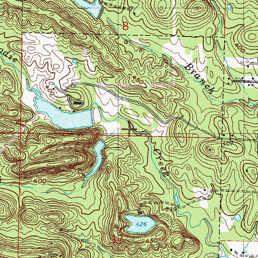 Topographic Map of Payne Branch, AR