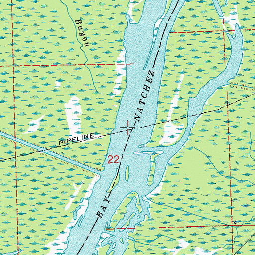 Topographic Map of Bay Natchez, LA