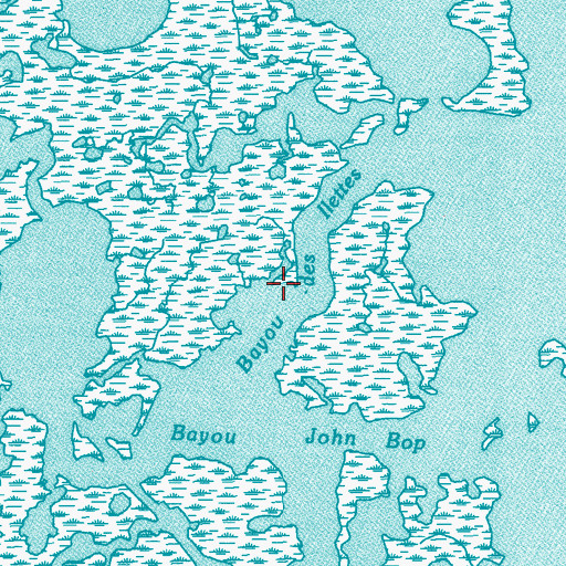 Topographic Map of Bayou des Illettes, LA