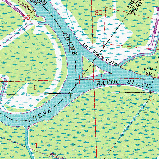 Topographic Map of Bayou Black, LA