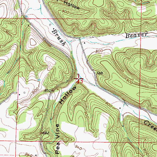Topographic Map of Pea Vine Hollow, AR