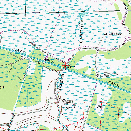 Topographic Map of Bayou Coquille, LA