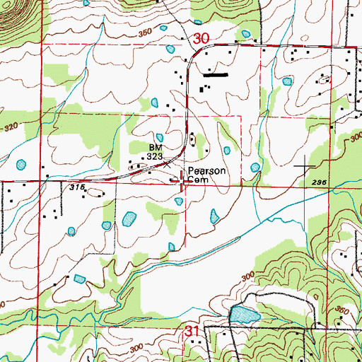 Topographic Map of Pearson Cemetery, AR