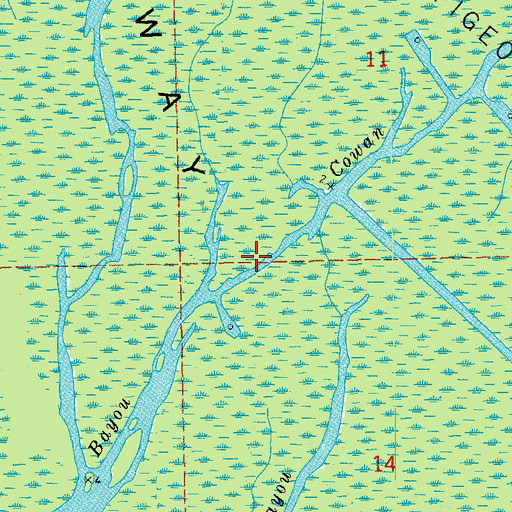 Topographic Map of Bayou Cowan, LA