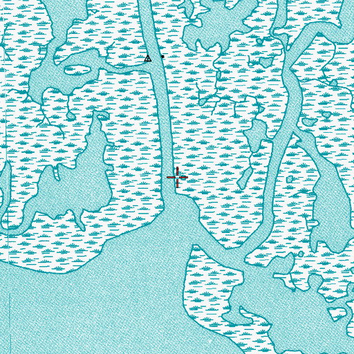 Topographic Map of Bayou de Mangue, LA