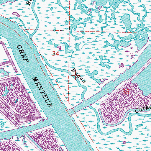 Topographic Map of Bayou Dupont, LA
