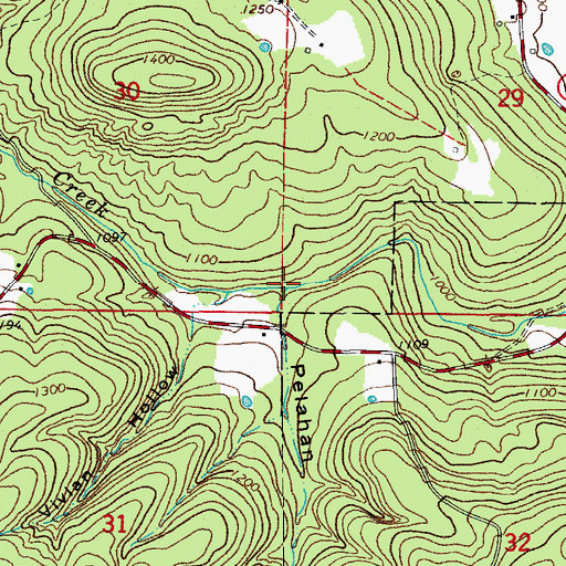 Topographic Map of Pelahan Hollow, AR