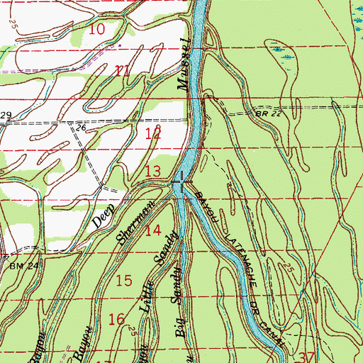 Topographic Map of Bayou Little Sandy, LA