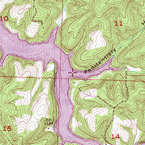 Topographic Map of Penitentiary Hollow, AR