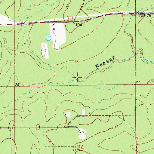Topographic Map of Bayou Marsh, LA