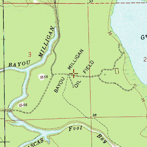 Topographic Map of Bayou Milligan Oil Field, LA